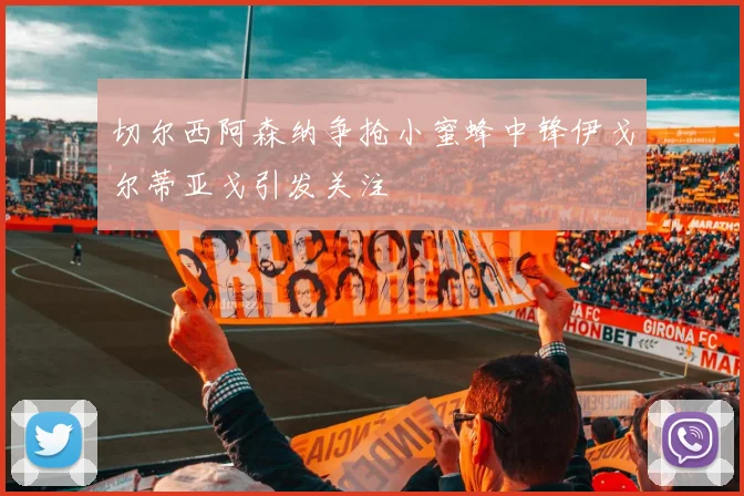切尔西阿森纳争抢小蜜蜂中锋伊戈尔蒂亚戈引发关注