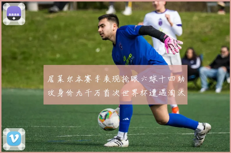 居莱尔本赛季表现抢眼六球十四助攻身价九千万首次世界杯遭遇淘汰